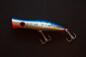 Halco Roosta popper 135 Baitfish