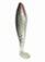 Swimming shiner 4-inch Baby speck