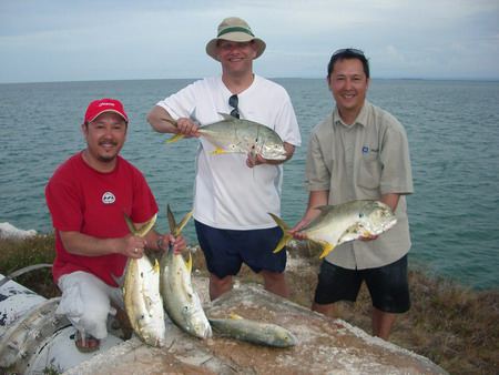 Peche Sud, popper & surface lures