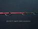 JigStar Kojak 250 - 9 Fuji Silicon Carbide Guides