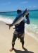 Spanish mackerel on Tarpon X