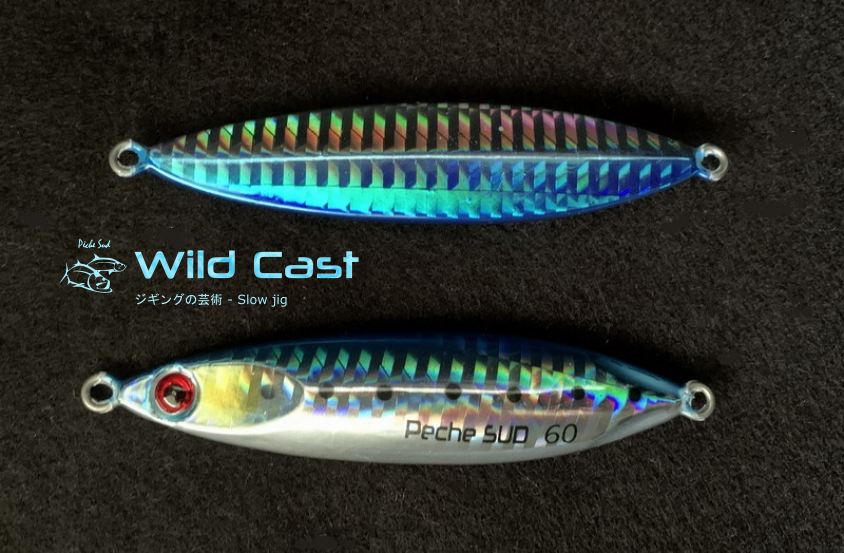 (image for) WILD CAST - Slow jigging lure 60 grams - Blue