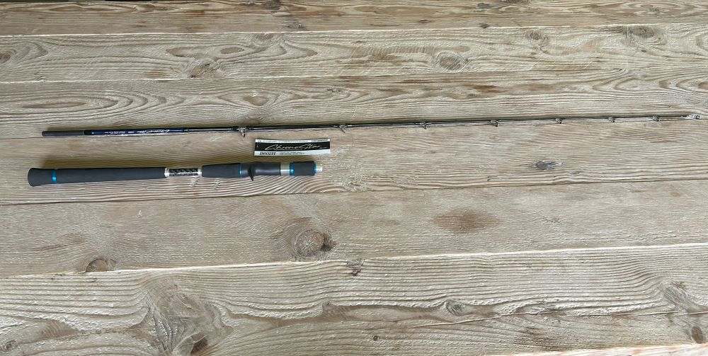 (image for) Jigging rod - Chronostar B602H (300 gr) Conv.