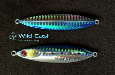 WILD CAST - Slow jigging lure 60 grams - Blue [WILDCAST-BL (CHINA)] - $8.75  CAD : PECHE SUD, Saltwater fishing tackles, jigging lures, reels, rods