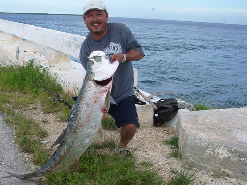 PECHE SUD, Saltwater fishing tackles, jigging lures, reels, rods