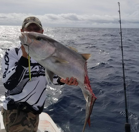Jigging lure - Zero Dropper - Florida Amberjack 