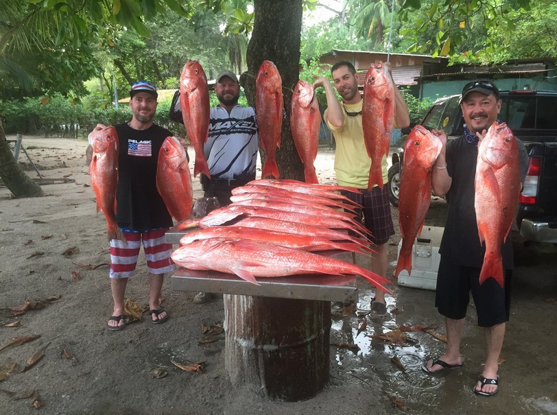 Full catch — red snappers