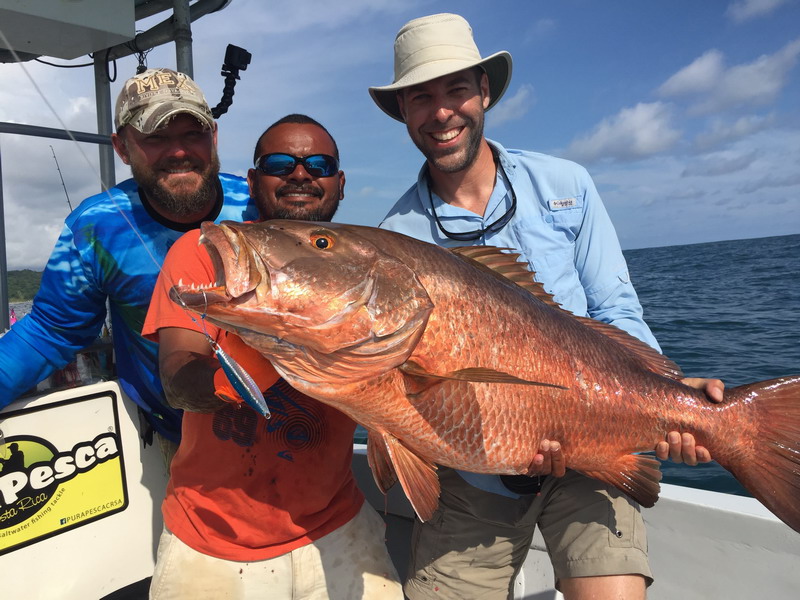 Big red snapper — Costa Rica