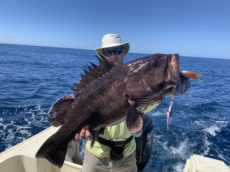 Big black grouper — slow pitch