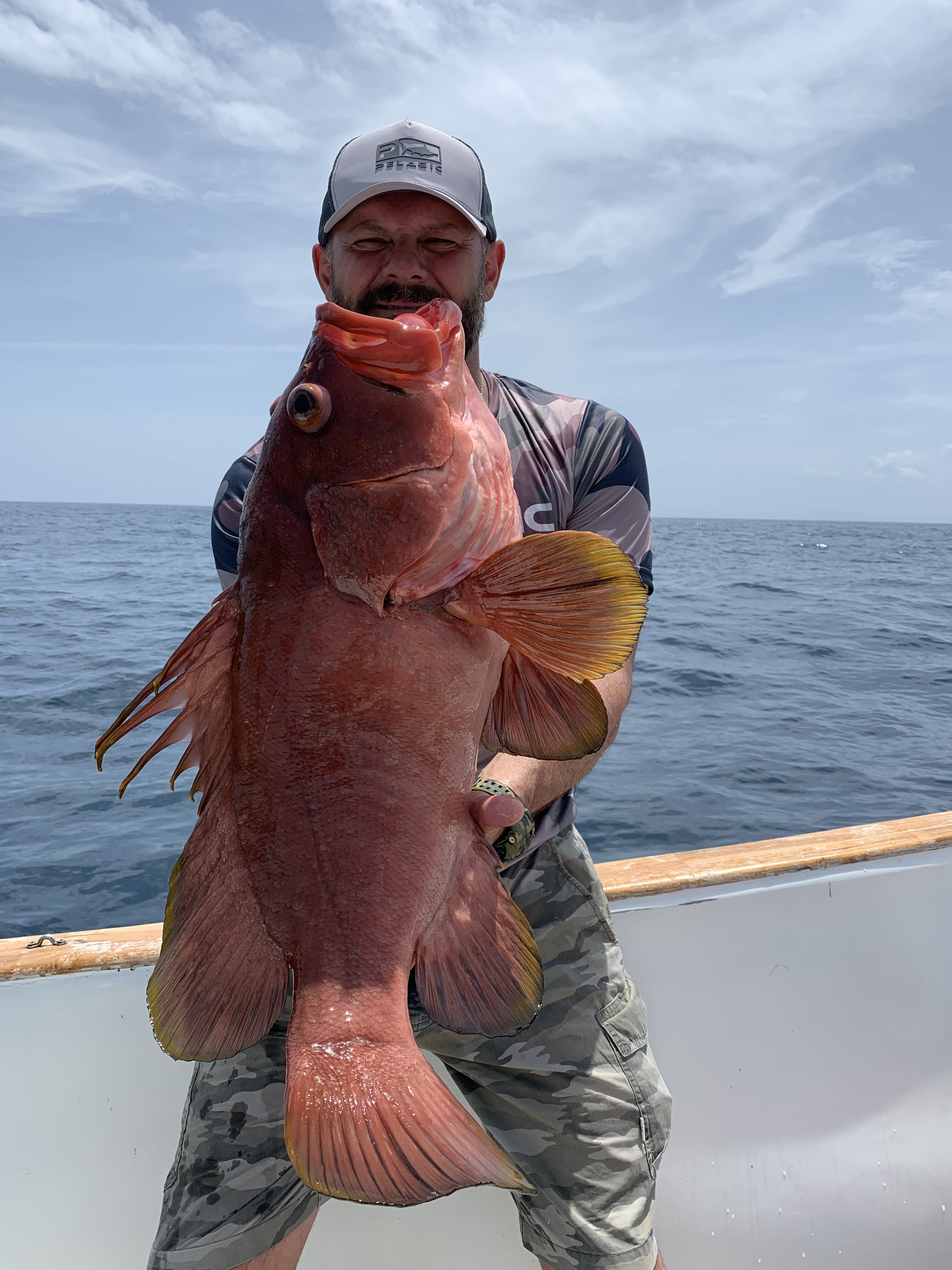 Bearded angler with grouper